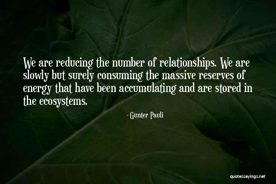 Flu Pandemic Quotes By Gunter Pauli Flu Pandemic Quotes By Gunter Pauli