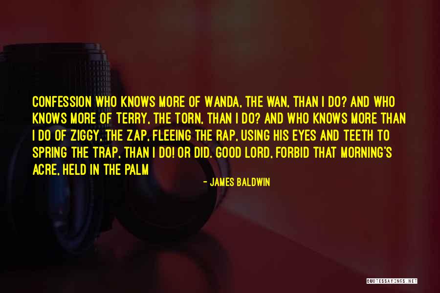 Flu Pandemic Quotes By James Baldwin Flu Pandemic Quotes By James Baldwin