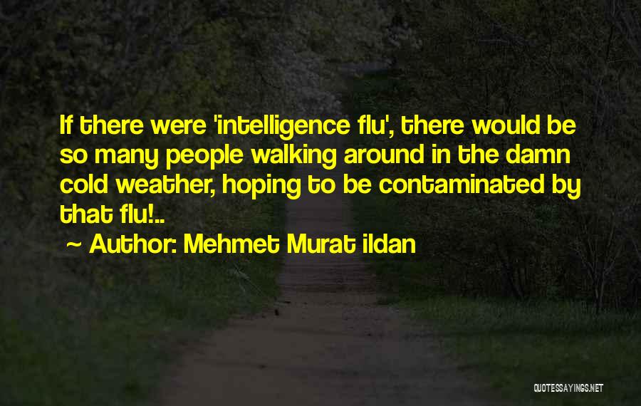 Flu Quotes By Mehmet Murat Ildan