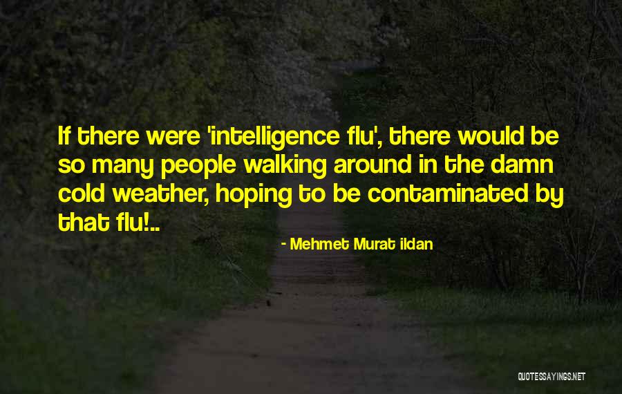 Flu Quotes By Mehmet Murat Ildan