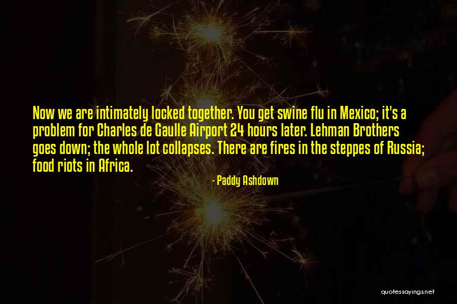 Flu Quotes By Paddy Ashdown