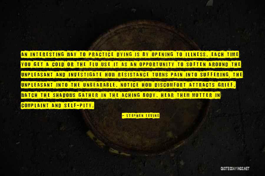 Flu Quotes By Stephen Levine Flu Quotes By Stephen Levine
