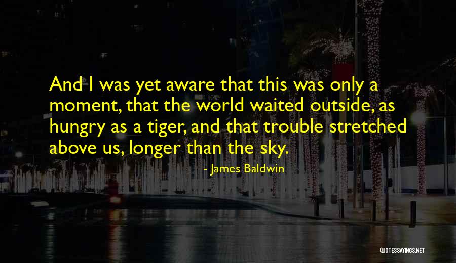 Fluctuaciones Definicion Quotes By James Baldwin Fluctuaciones Definicion Quotes By James Baldwin