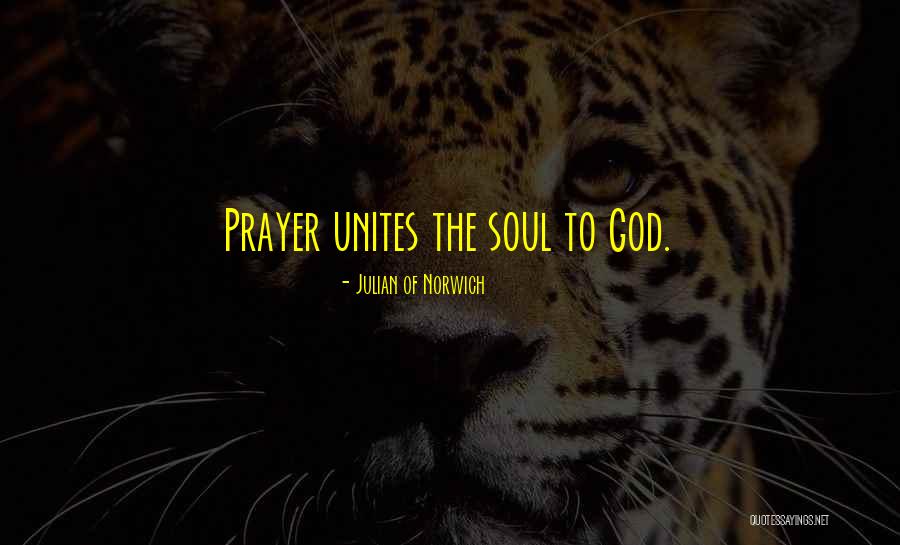 Fluffed Gauze Quotes By Julian Of Norwich Fluffed Gauze Quotes By Julian Of Norwich