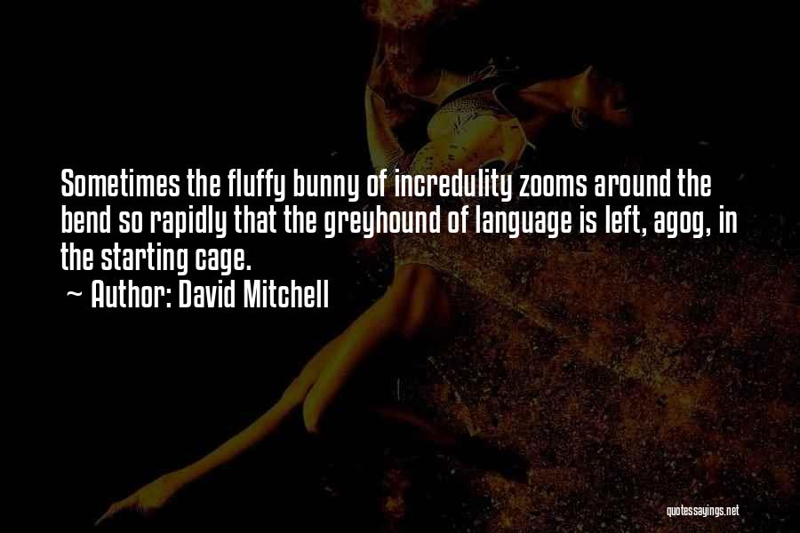 Fluffy Bunny Quotes By David Mitchell