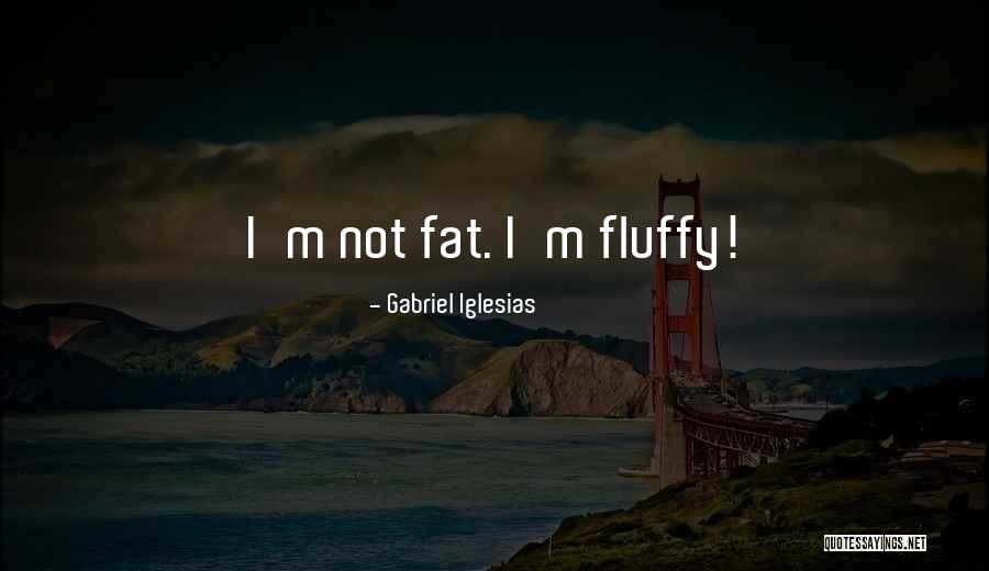 Fluffy Gabriel Iglesias Quotes By Gabriel Iglesias Fluffy Gabriel Iglesias Quotes By Gabriel Iglesias