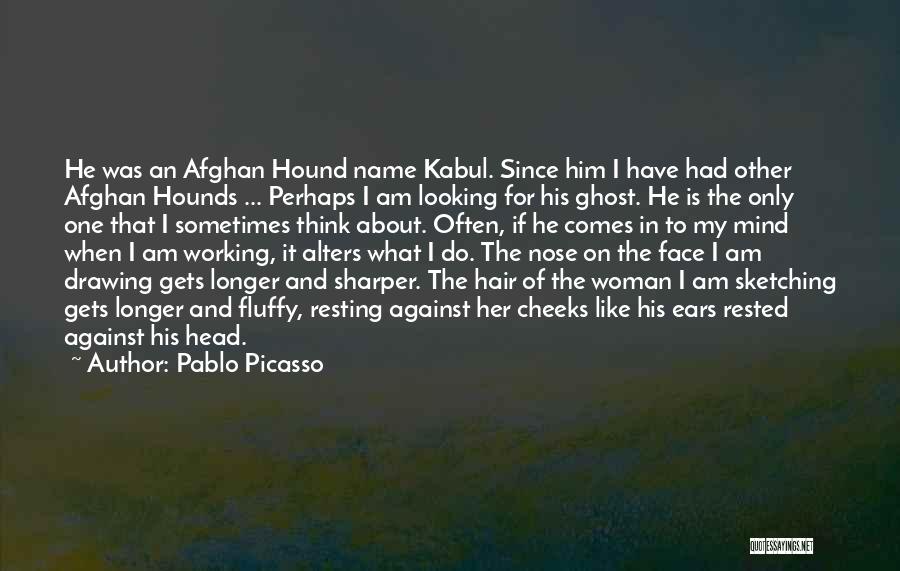 Fluffy Hair Quotes By Pablo Picasso