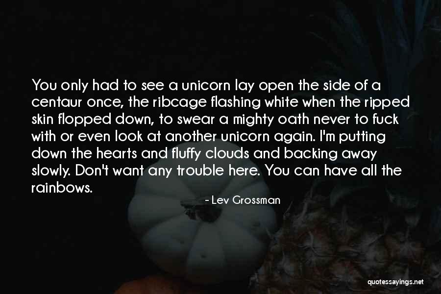 Fluffy Unicorn Quotes By Lev Grossman Fluffy Unicorn Quotes By Lev Grossman