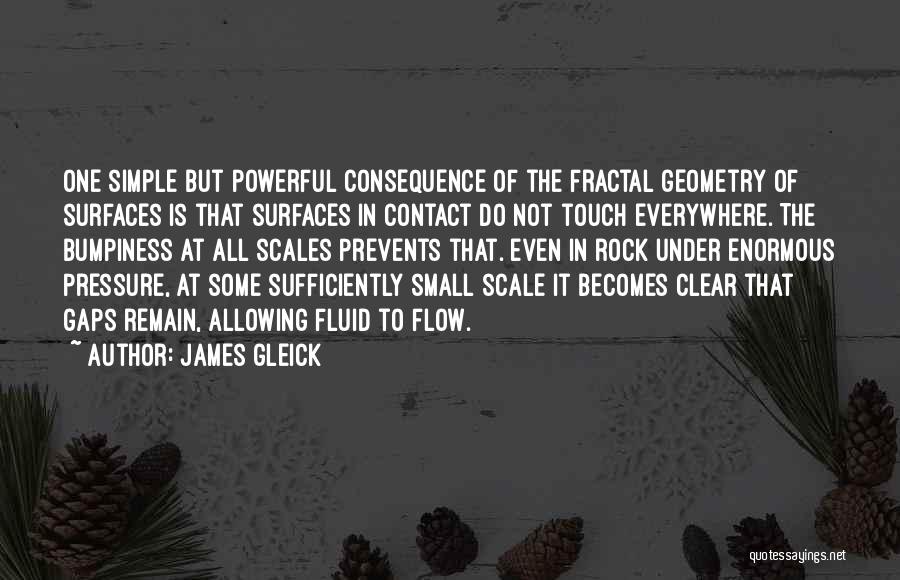 Fluid Flow Quotes By James Gleick