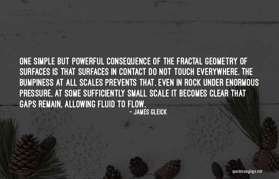 Fluid Flow Quotes By James Gleick