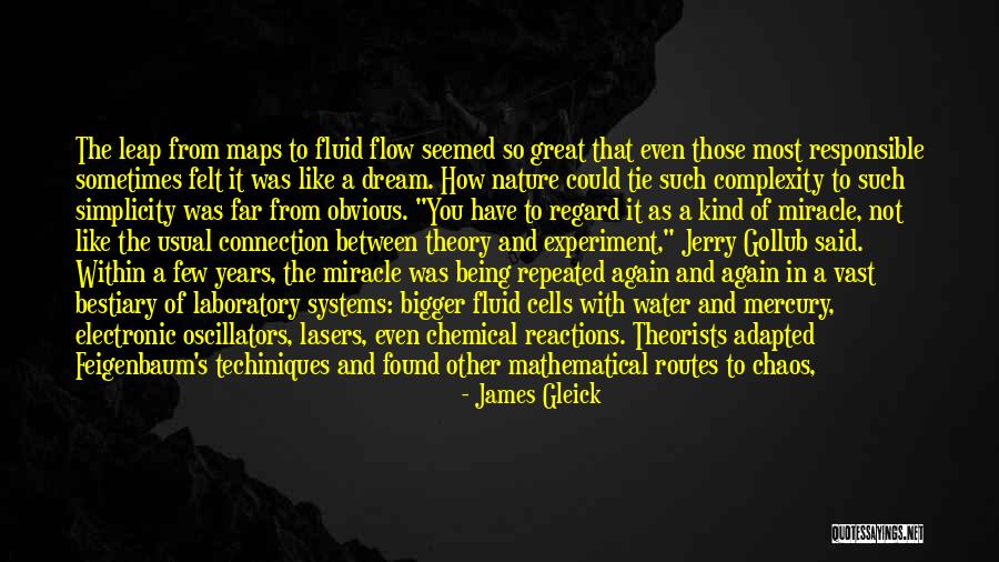 Fluid Flow Quotes By James Gleick