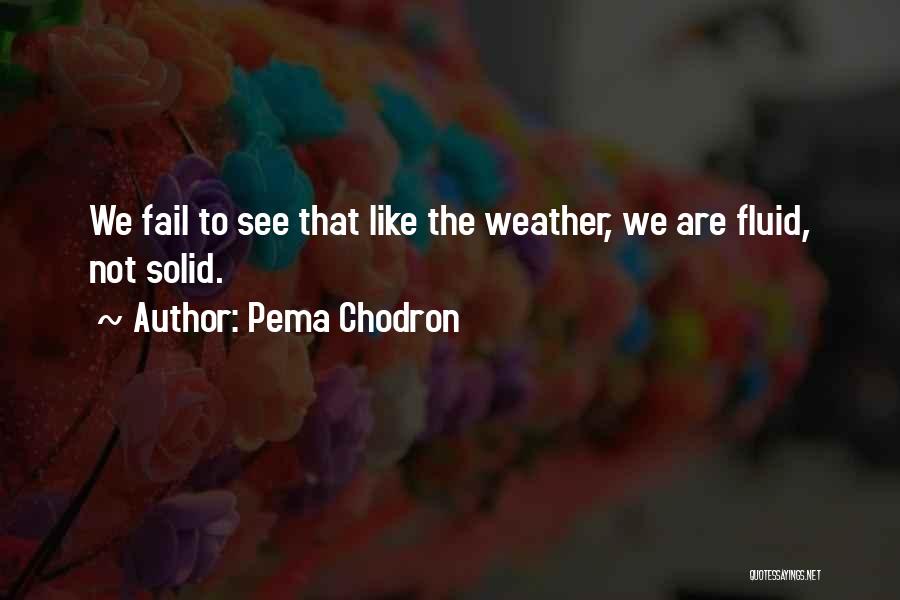 Fluid Quotes By Pema Chodron