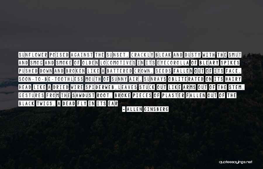 Flunkies Responses Quotes By Allen Ginsberg Flunkies Responses Quotes By Allen Ginsberg
