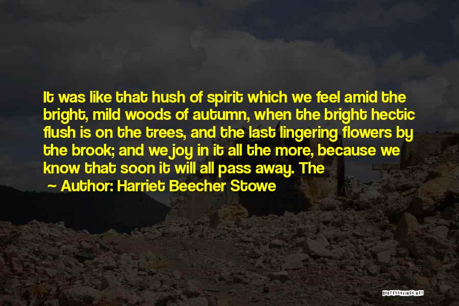 Flush Away Quotes By Harriet Beecher Stowe