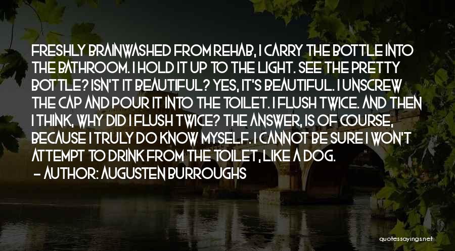 Flush The Toilet Quotes By Augusten Burroughs