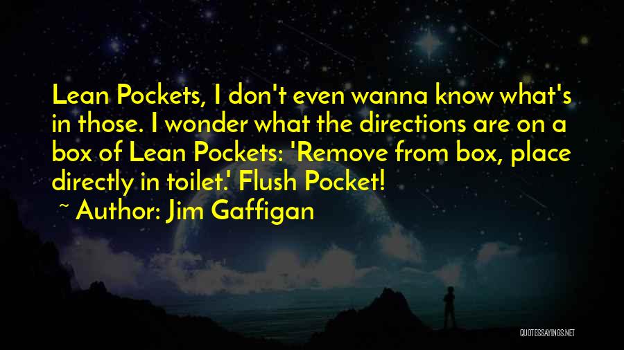 Flush The Toilet Quotes By Jim Gaffigan