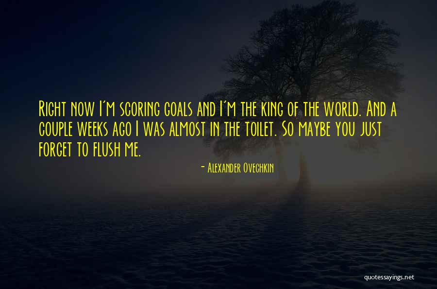 Flush Toilet Quotes By Alexander Ovechkin