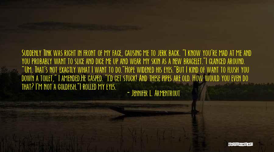 Flush Toilet Quotes By Jennifer L. Armentrout