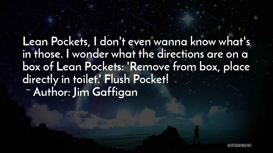 Flush Toilet Quotes By Jim Gaffigan