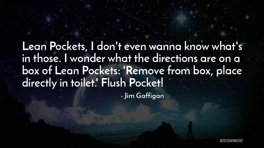 Flush Toilet Quotes By Jim Gaffigan