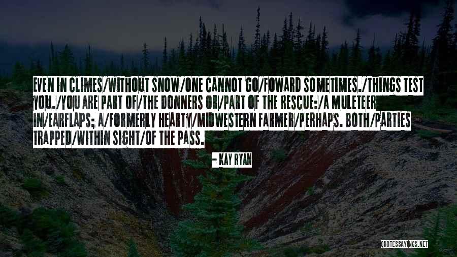 Flusher Drywall Quotes By Kay Ryan Flusher Drywall Quotes By Kay Ryan