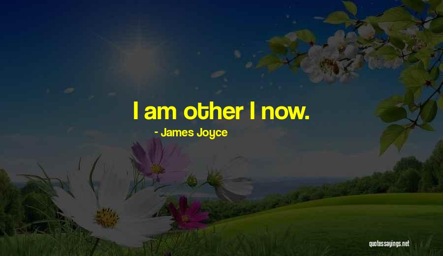 Fluss Zur Quotes By James Joyce