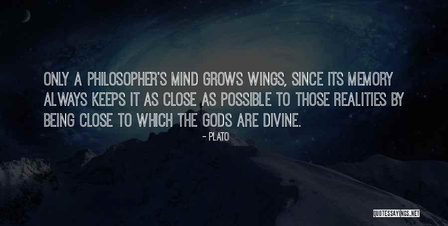 Flutter My Blood Approves Quotes By Plato Flutter My Blood Approves Quotes By Plato