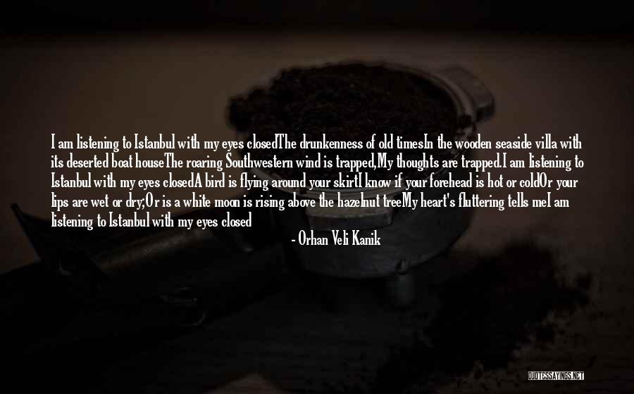 Fluttering Heart Quotes By Orhan Veli Kanik