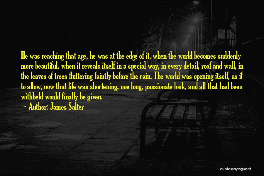 Fluttering Quotes By James Salter