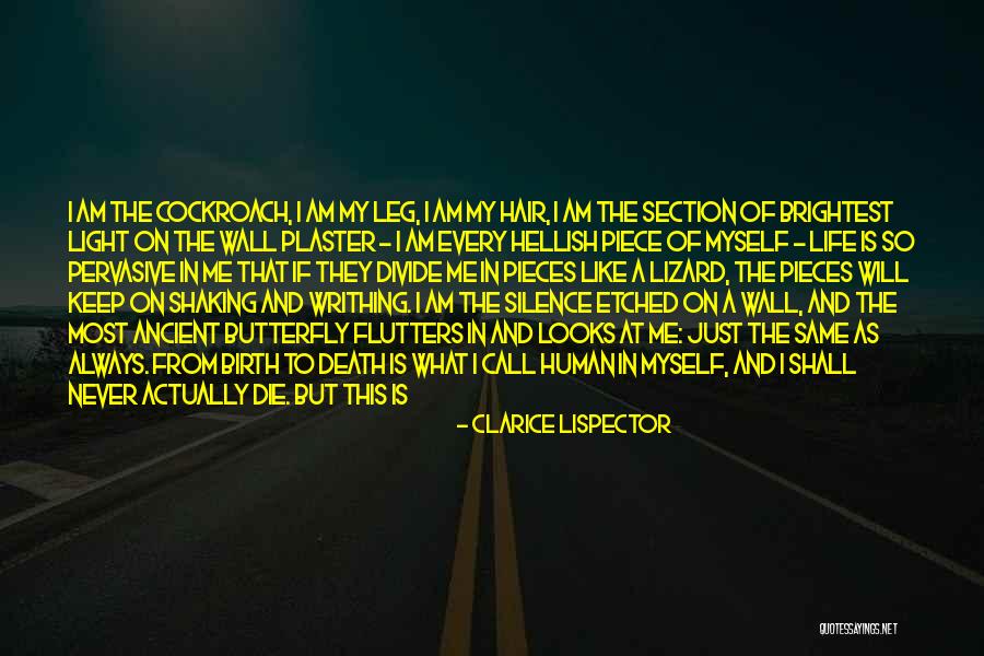 Flutters Quotes By Clarice Lispector Flutters Quotes By Clarice Lispector