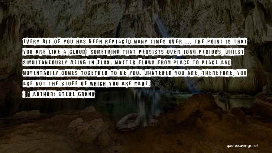 Flux Quotes By Steve Grand