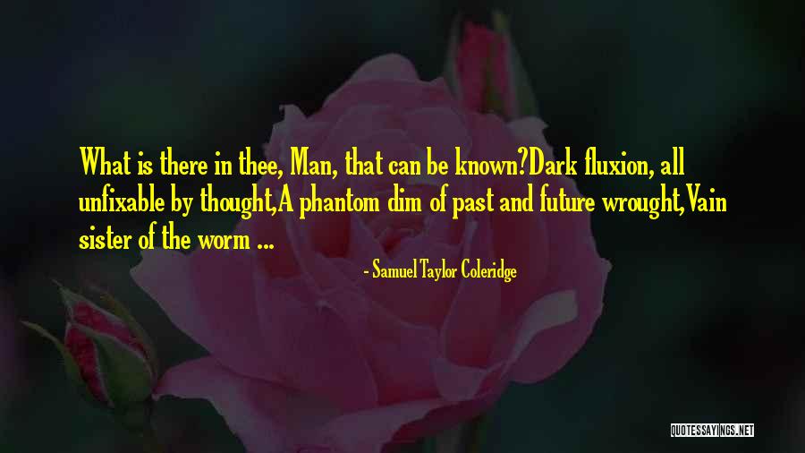 Fluxion Quotes By Samuel Taylor Coleridge Fluxion Quotes By Samuel Taylor Coleridge