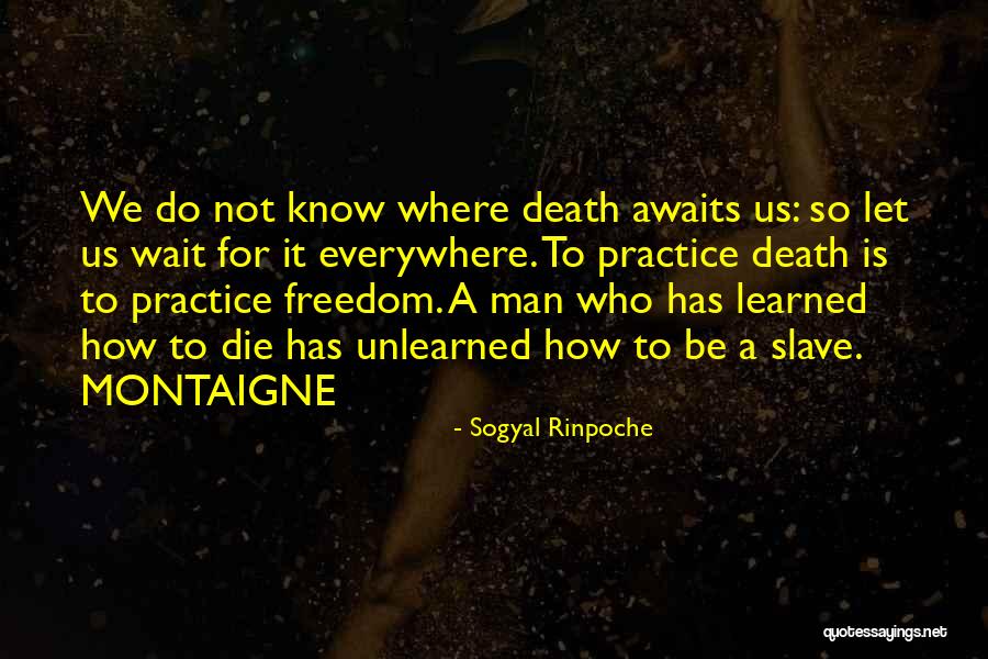 Fluxional Behaviour Quotes By Sogyal Rinpoche