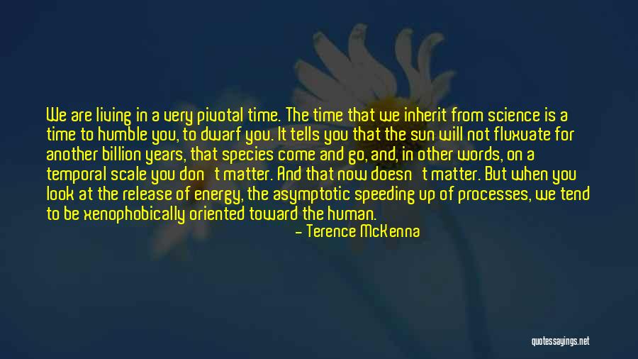 Fluxuate Quotes By Terence McKenna Fluxuate Quotes By Terence McKenna