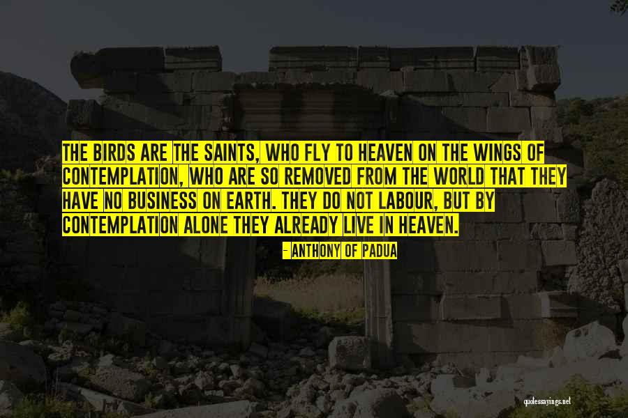 Fly Alone Quotes By Anthony Of Padua Fly Alone Quotes By Anthony Of Padua