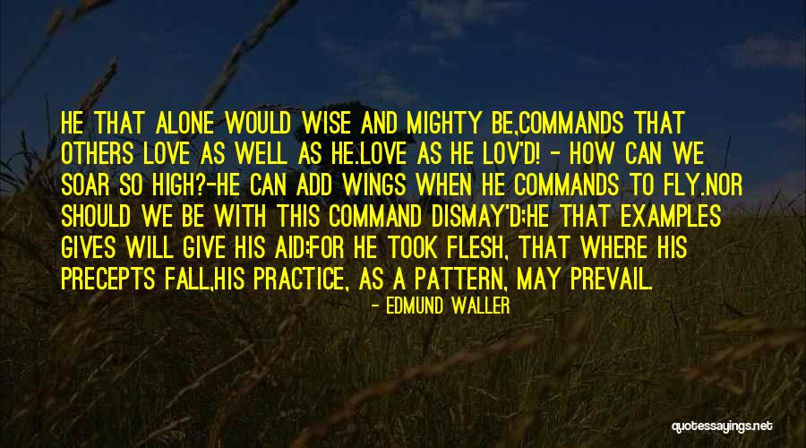 Fly Alone Quotes By Edmund Waller Fly Alone Quotes By Edmund Waller