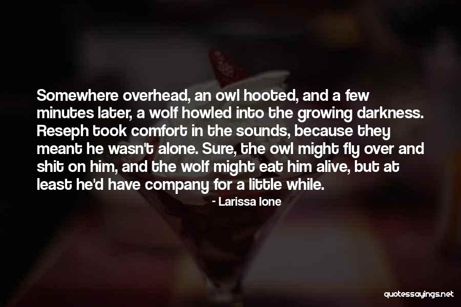 Fly Alone Quotes By Larissa Ione Fly Alone Quotes By Larissa Ione