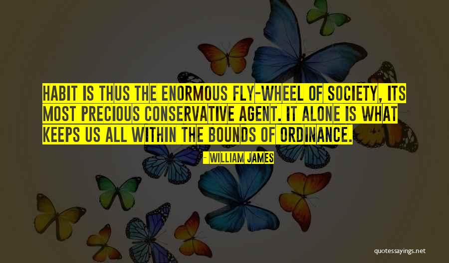 Fly Alone Quotes By William James Fly Alone Quotes By William James