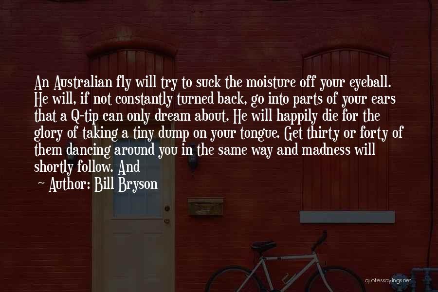 Fly And Dream Quotes By Bill Bryson