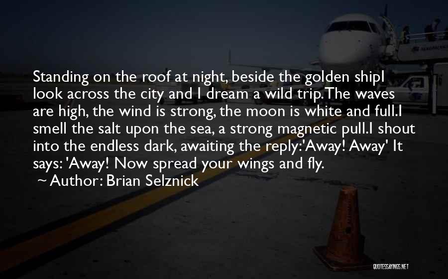 Fly And Dream Quotes By Brian Selznick