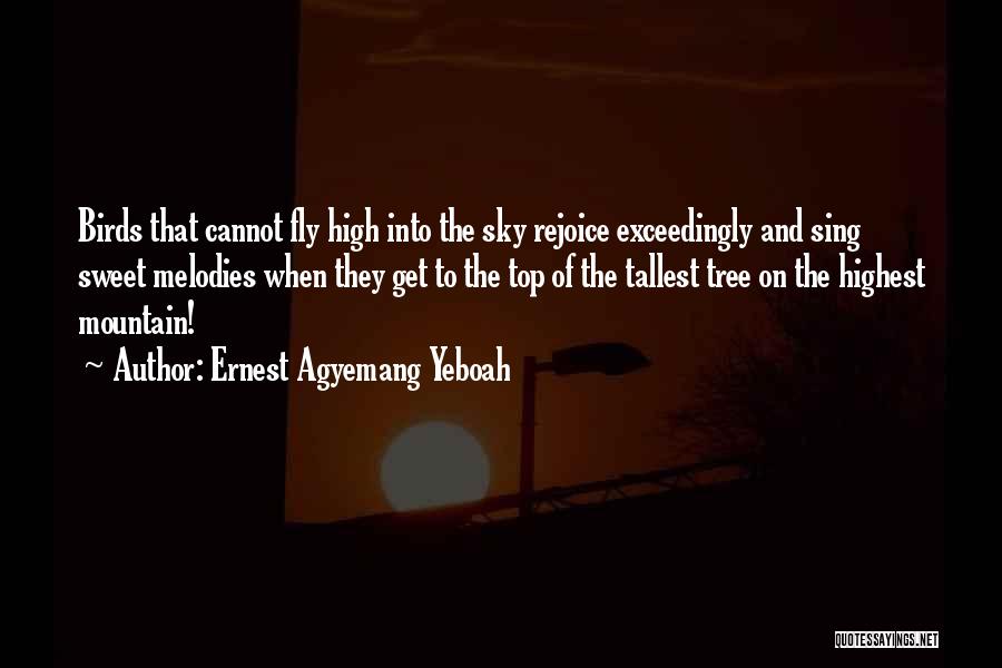 Fly And Dream Quotes By Ernest Agyemang Yeboah