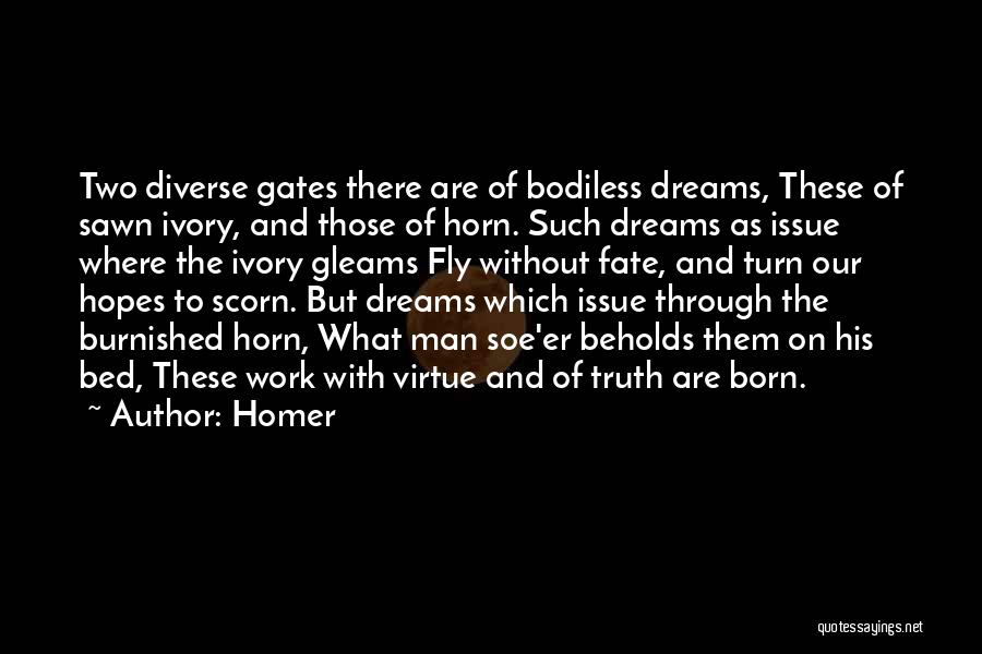 Fly And Dream Quotes By Homer