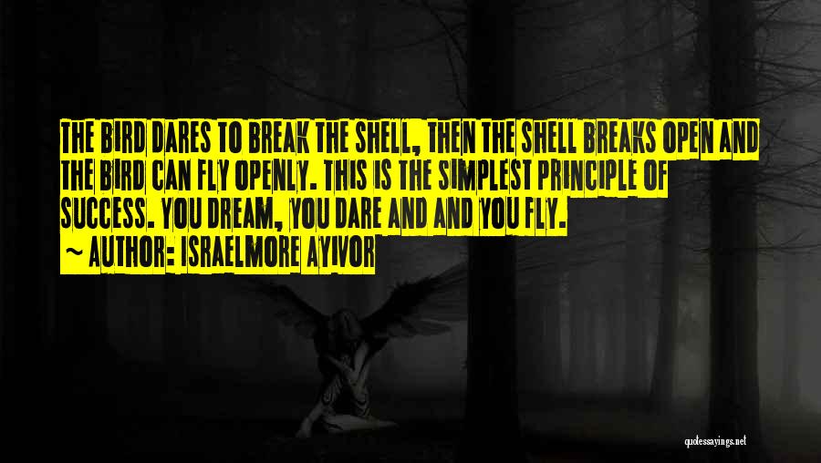 Fly And Dream Quotes By Israelmore Ayivor