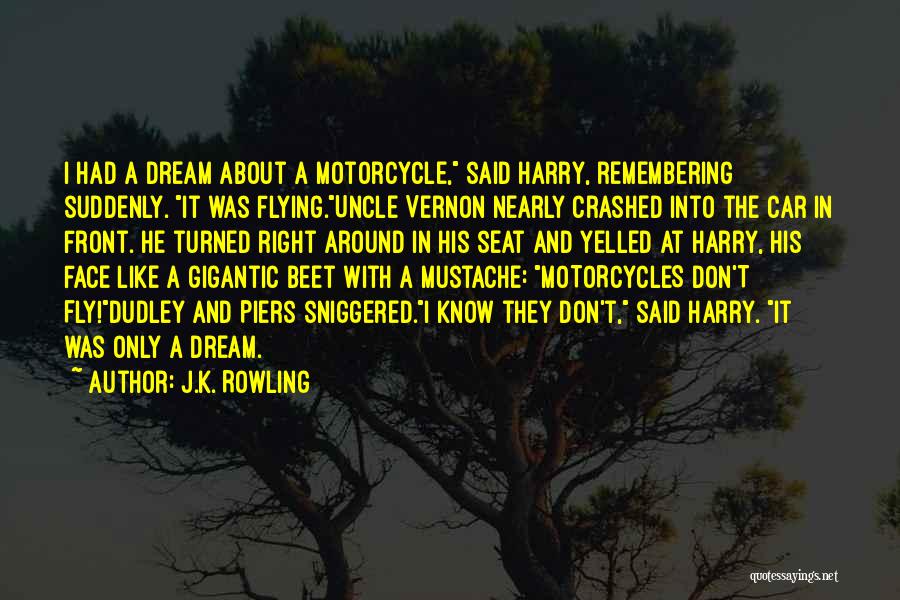 Fly And Dream Quotes By J.K. Rowling