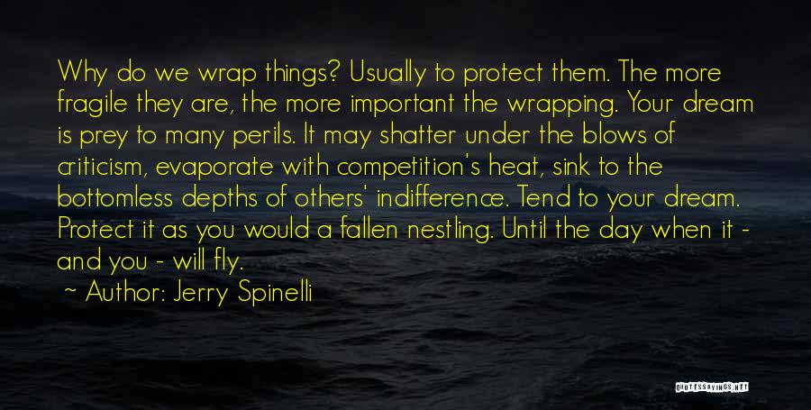 Fly And Dream Quotes By Jerry Spinelli