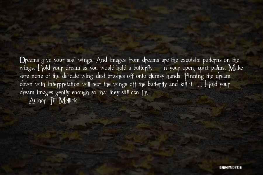 Fly And Dream Quotes By Jill Mellick