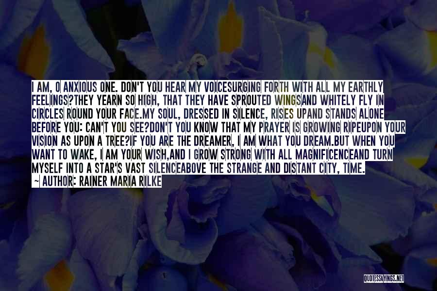 Fly And Dream Quotes By Rainer Maria Rilke