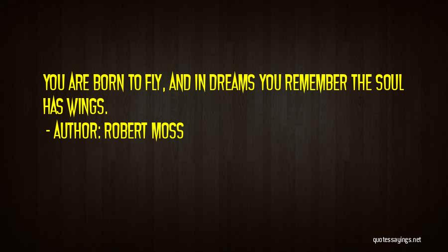 Fly And Dream Quotes By Robert Moss