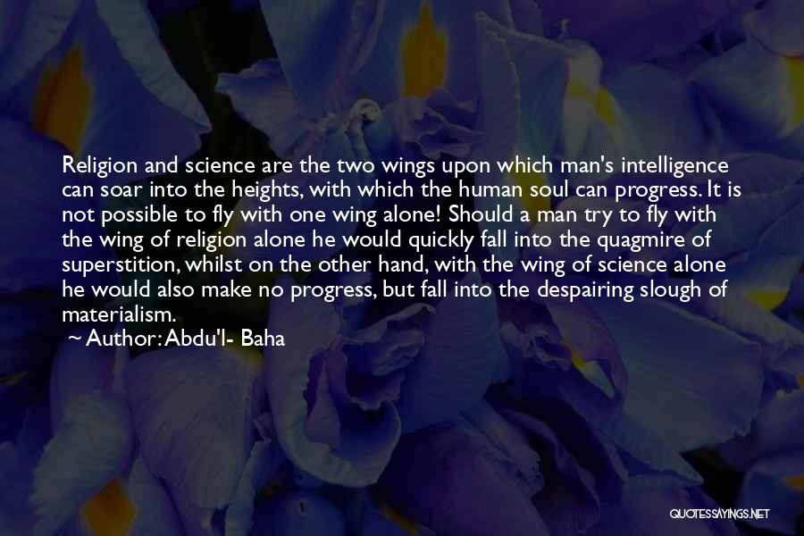 Fly And Fall Quotes By Abdu'l- Baha