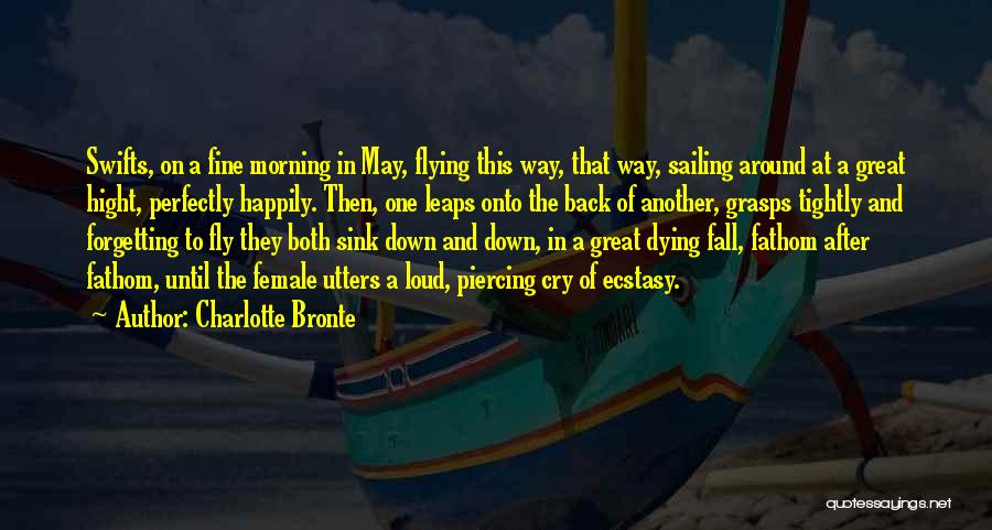 Fly And Fall Quotes By Charlotte Bronte